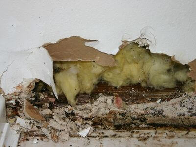 About Water Damage Restoration Roswell - water damage restoration roswell experts in Roswell